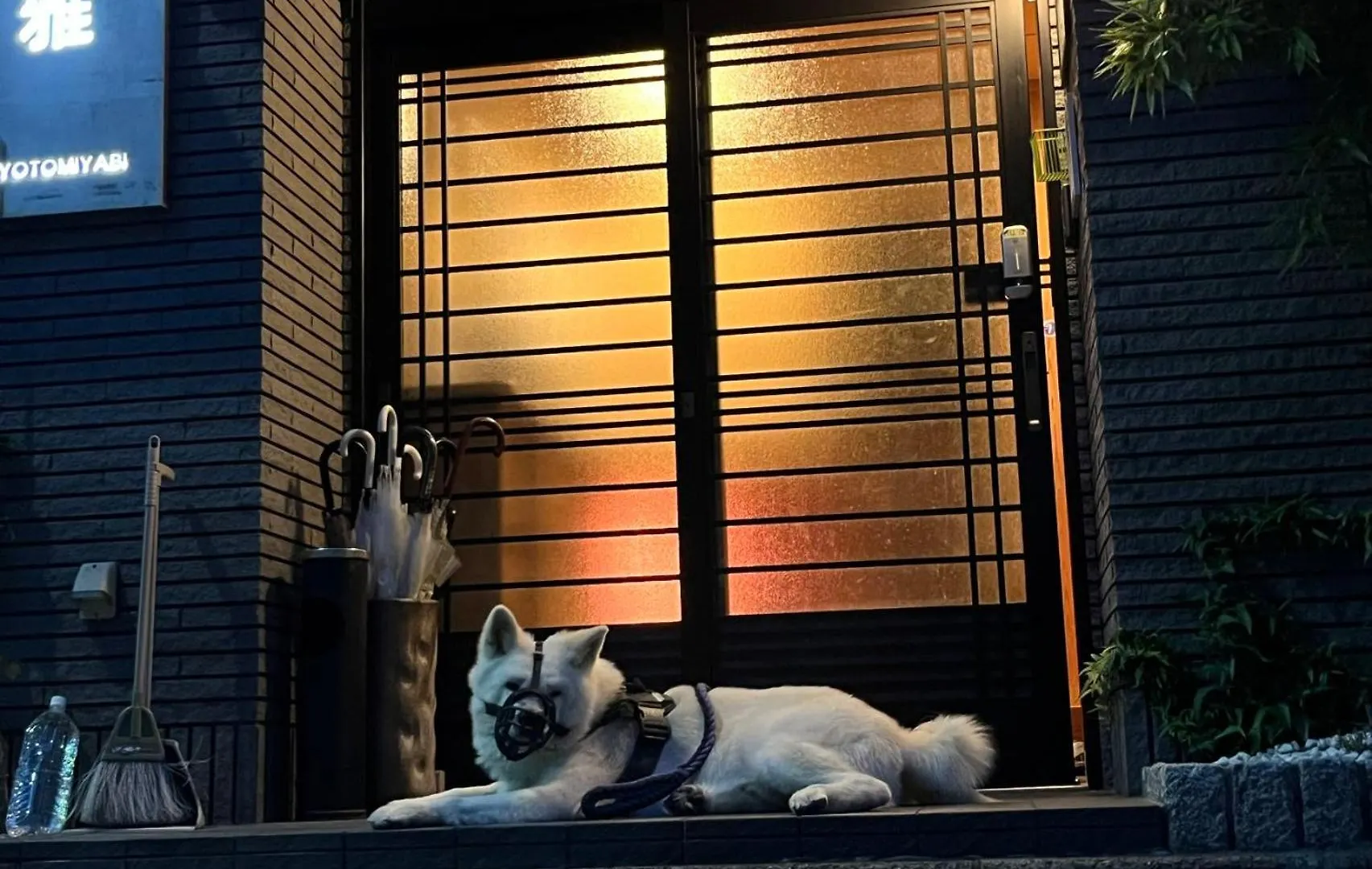 Pensión Hotel 雅 Kioto